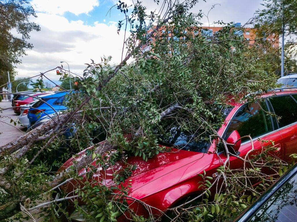 Cyclone Chido destruction in Mayotte