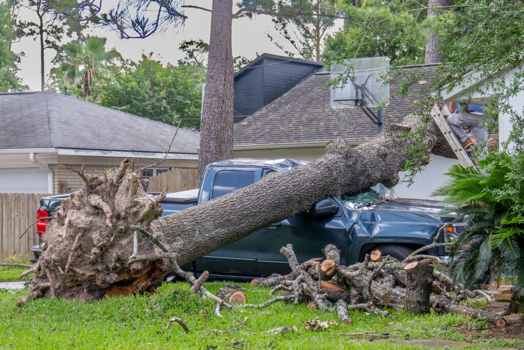 Storm Darragh causes UK disruption