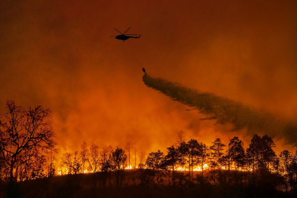 Raging Wildfires Devastate South Korea: Historic Sites and Lives Lost in Unprecedented Disaster