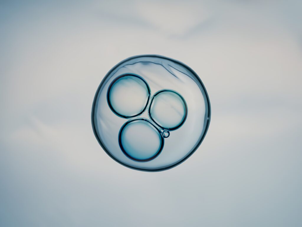 Human skin cells turned into eggs in groundbreaking fertility advance