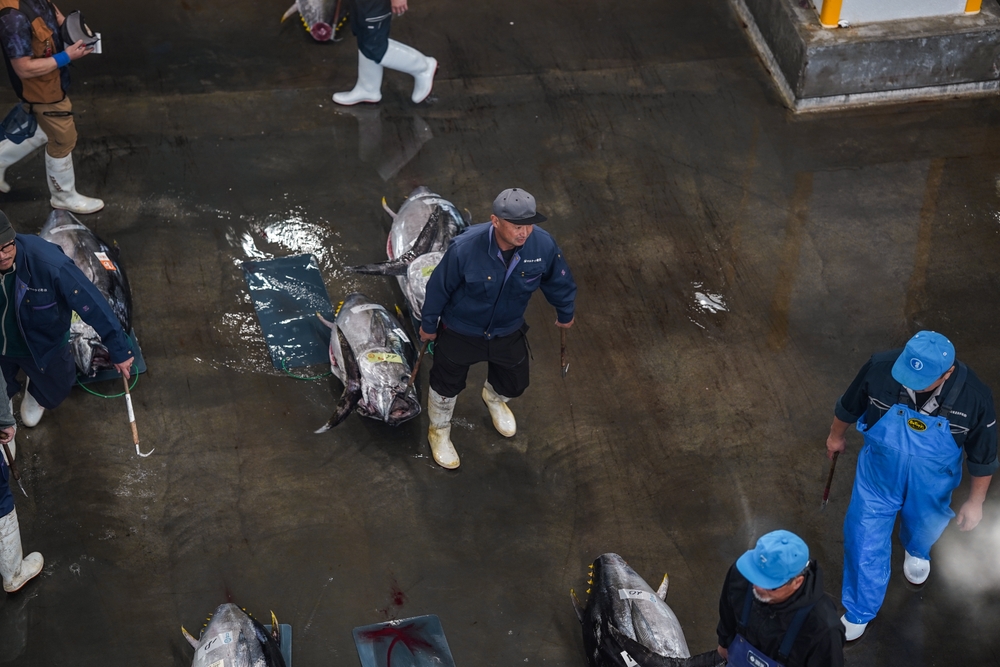 Tokyo’s New Year Tuna Frenzy Reaches New Heights